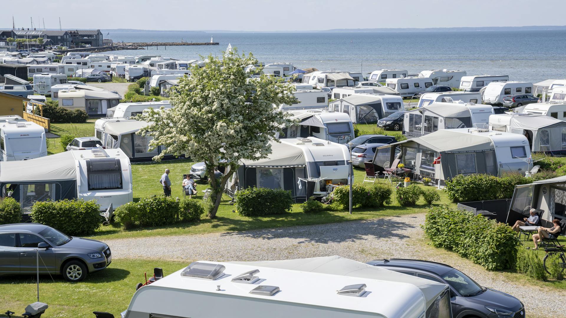 Udsigt over Kyst Camping