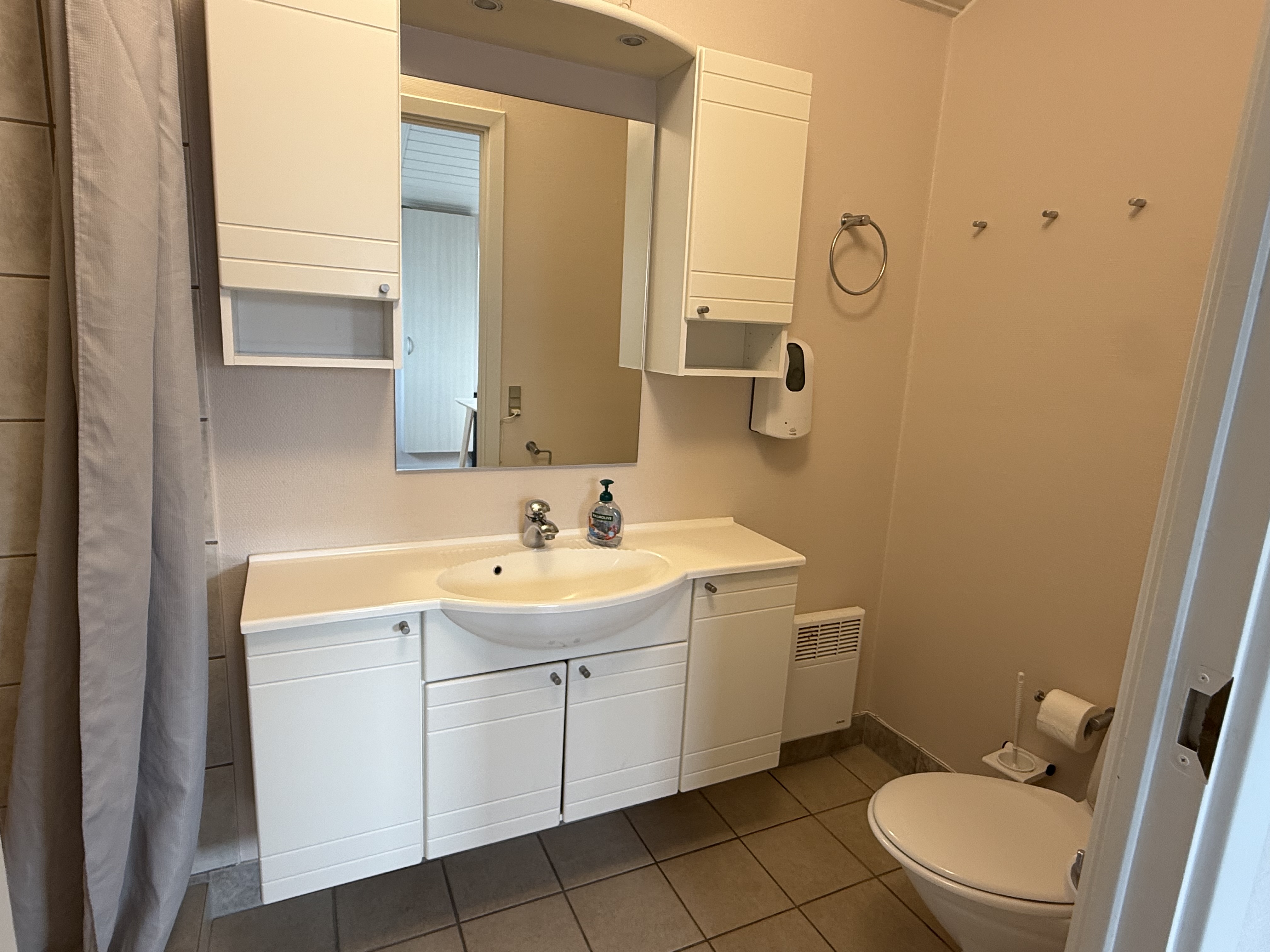 Senior Cabin toilet