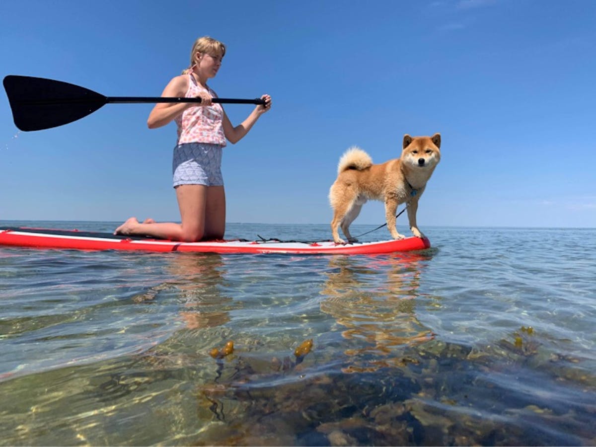 Børn leger glade ved vandet på Kyst Camping Bogense
